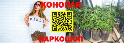 гидропоника Ипатово