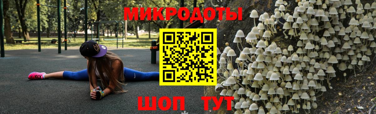 Галлюциногенные грибы Psilocybine cubensis Курчалой