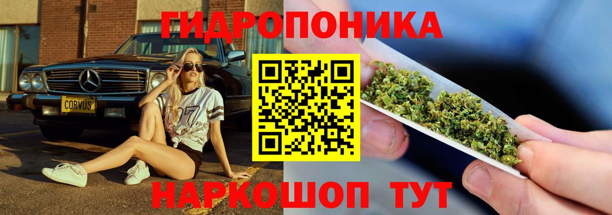 Шишки марихуана Ganja Курчалой